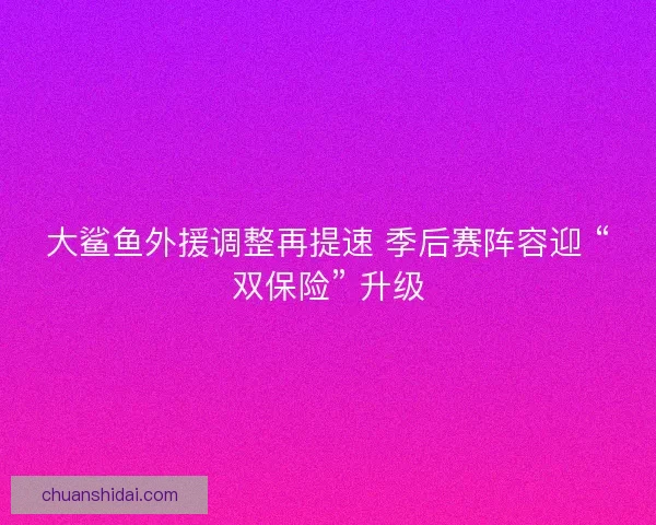 大鲨鱼外援调整再提速 季后赛阵容迎 “双保险” 升级
